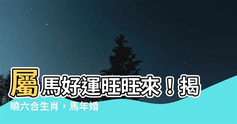 屬馬六合生肖|生肖配對｜屬馬12生肖夫妻配對表！最佳姻緣及相沖排